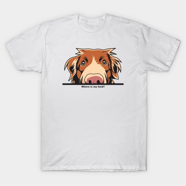 Where Is My Food Funny Toller T-Shirt by welovetollers